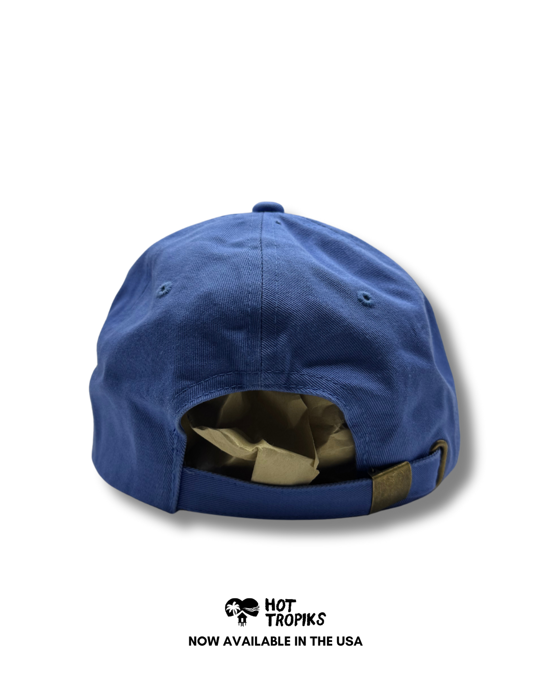 BOOKS MAKE ME READ - DAD CAP