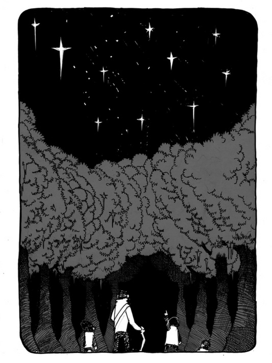 The Fireflies of Crimson Ashes