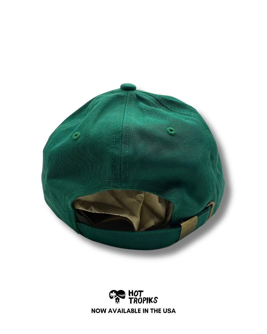 BOOKS MAKE ME READ - DAD CAP