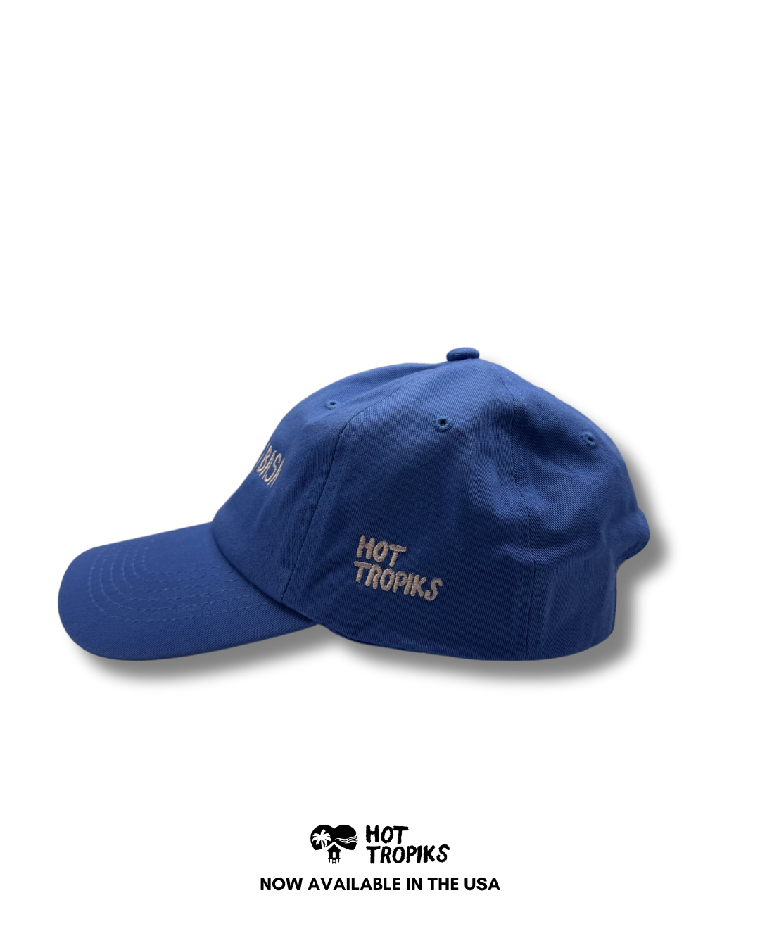 BOOKS MAKE ME READ - DAD CAP